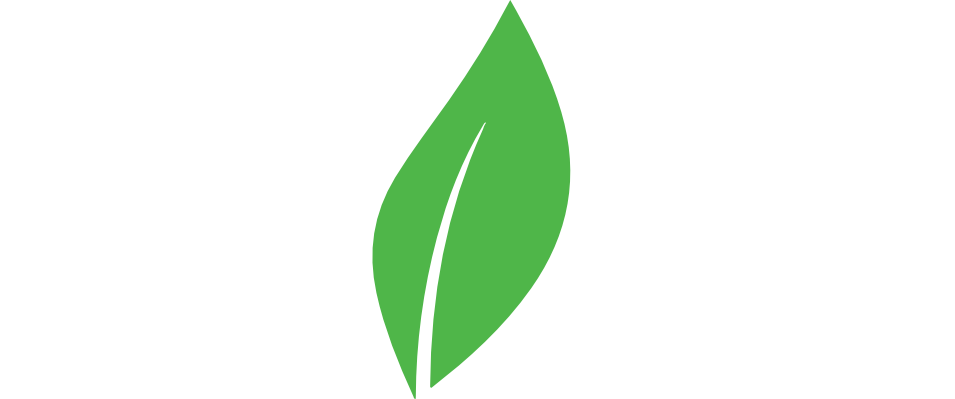 Bliss Eco Energy Ltd